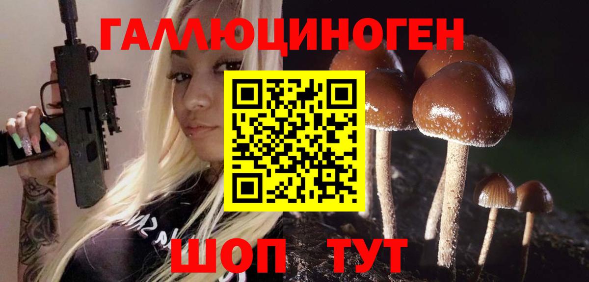 Галлюциногенные грибы Psilocybe Петропавловск-Камчатский